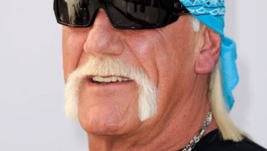 Hulk Hogan Biography