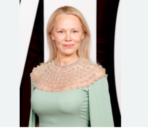 pamela anderson Biography