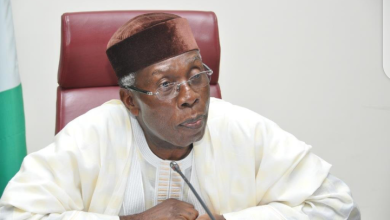 Audu Ogbeh Biography