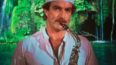 Tom shalleck Biography